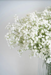 פרחי  גבסנית מלאכותיים בלבן