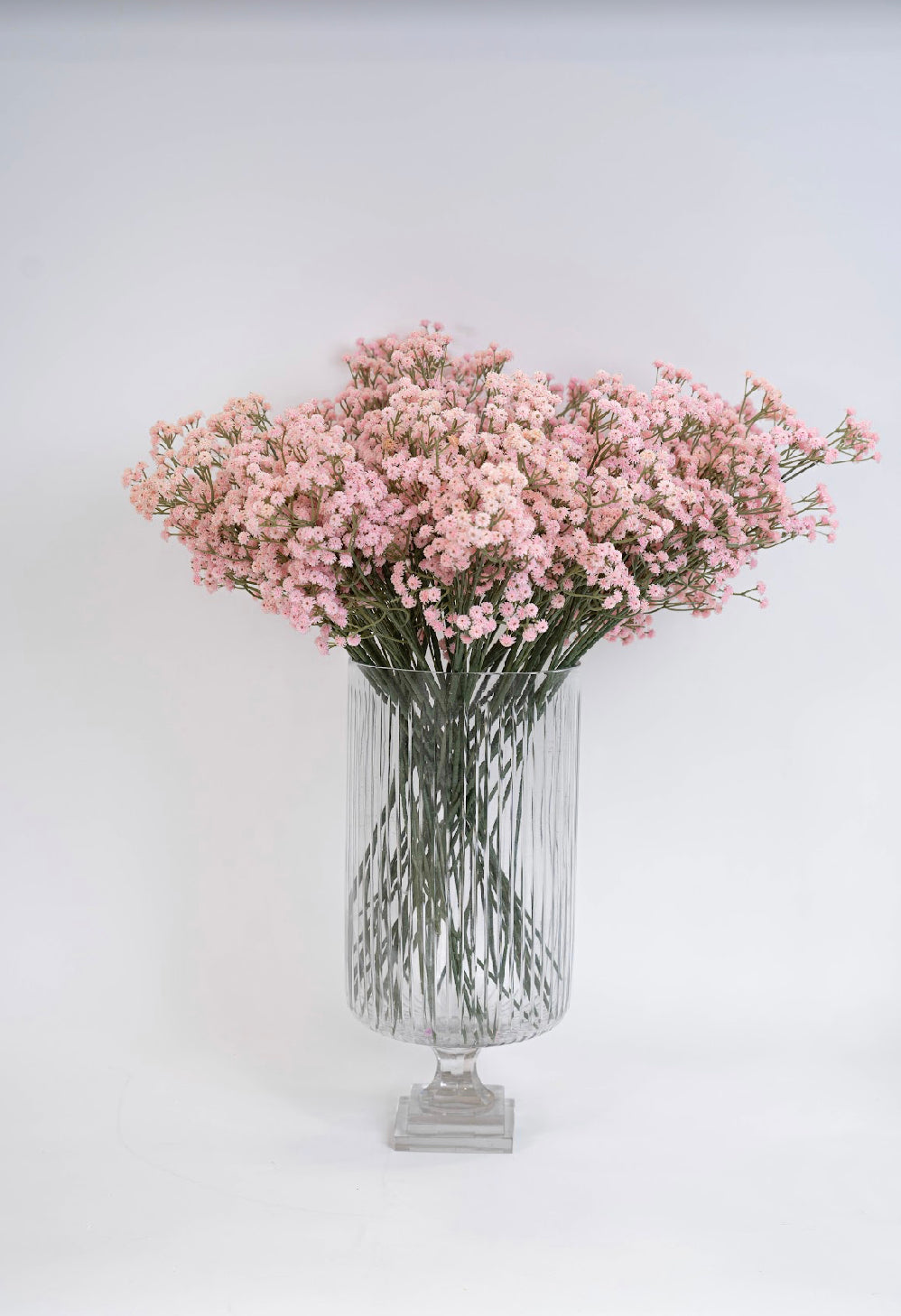 גבסניות מלאכותיות ורודות