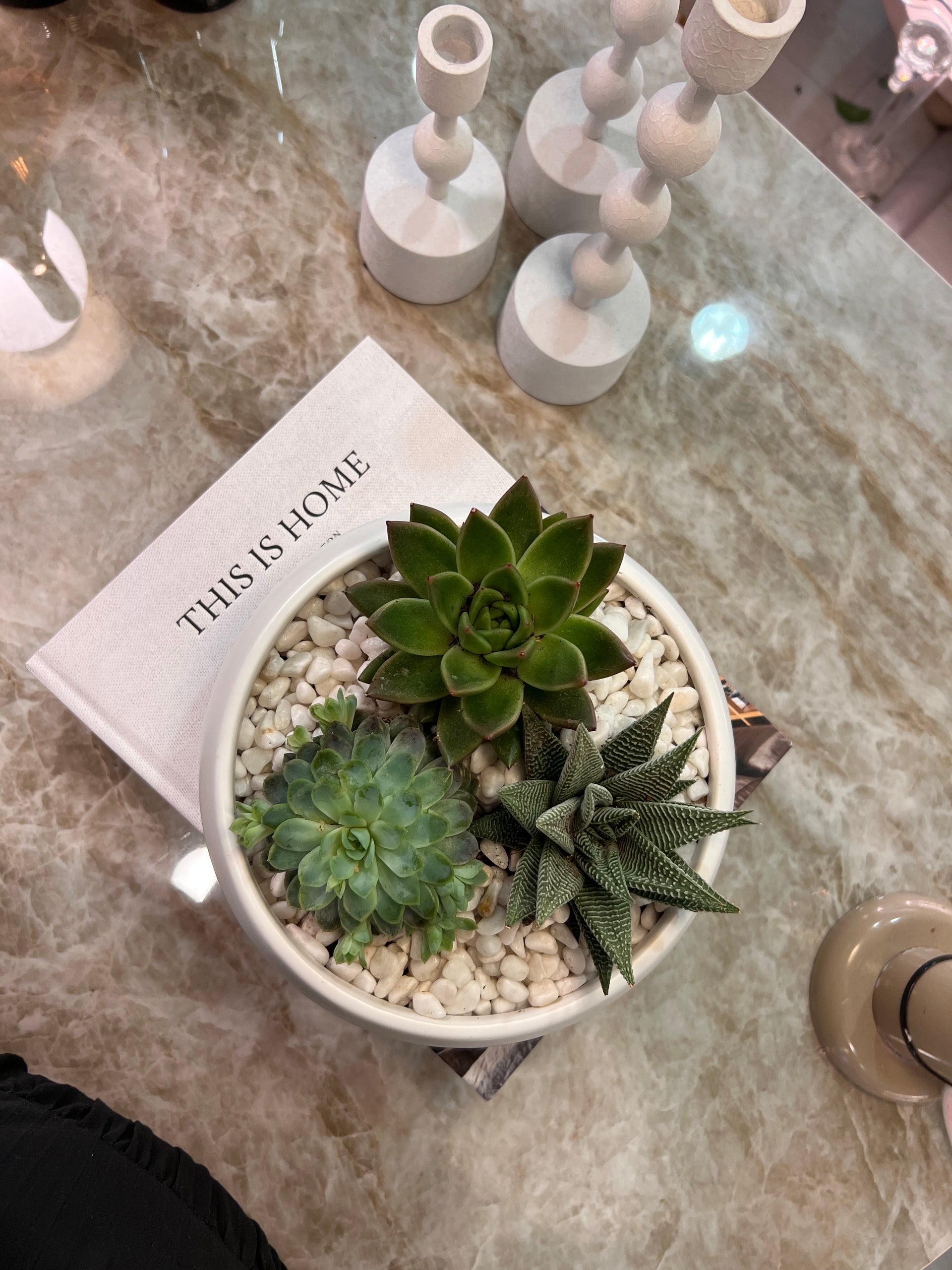 סידור סוקולנטים בכלי קרמי